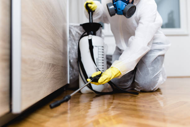 Best Bed Bug Extermination  in Camp Hill, AL