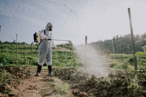 Best Mosquito Control Services  in Camp Hill, AL