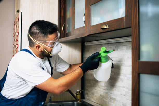 Best Pest Inspection Near Me  in Camp Hill, AL