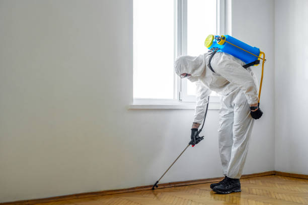 Best Emergency Pest Control  in Camp Hill, AL
