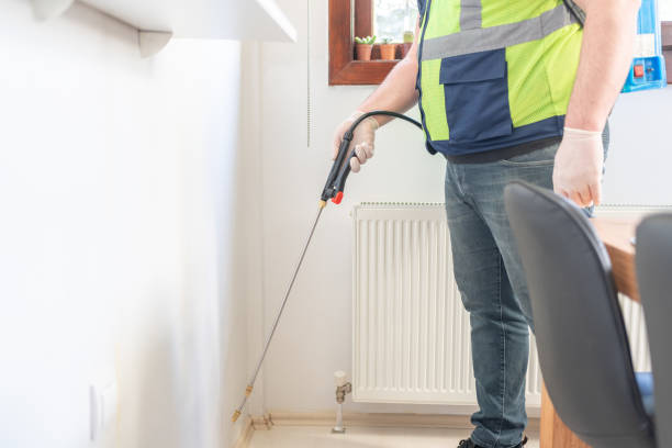 Wasp Removal Services in Camp Hill, AL