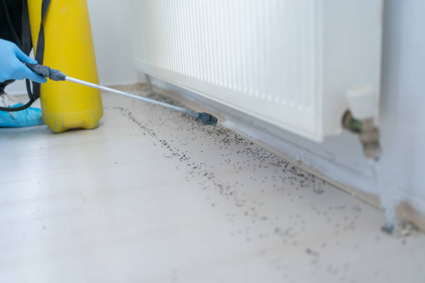 Best Commercial Pest Control Services  in Camp Hill, AL