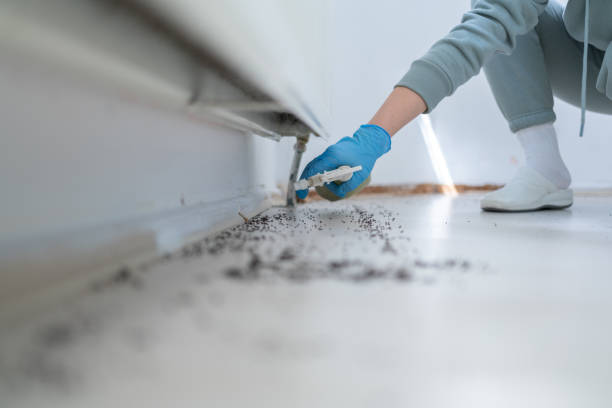 Best Pest Prevention Services  in Camp Hill, AL