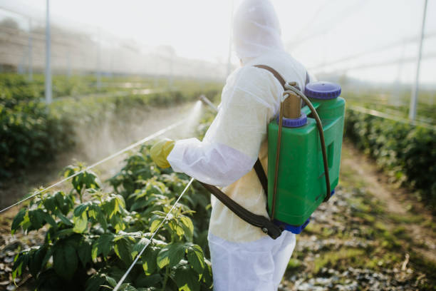 Best Pest Inspection Near Me  in Camp Hill, AL
